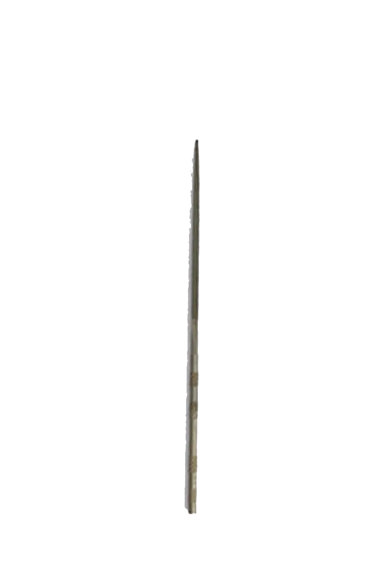 Needle